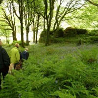 Trevelloe House and Carn - 2nd May, 2011