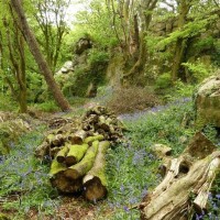 Trevelloe House and Carn - 2nd May, 2011