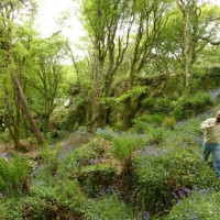 Trevelloe House and Carn - 2nd May, 2011