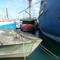Mixed vessels in the Wet Dock - 13Jun11