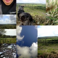 Madron Carn collage