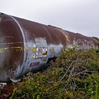 Train spotter