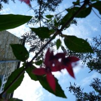 looking up
