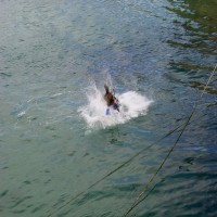 Splash