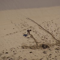 Beach art