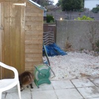 some pics of rebuild of rear garden