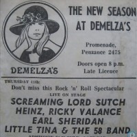 Demelza's Poster