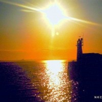 newlyn harbour