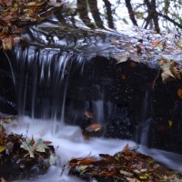 go with the flow