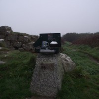 Foggy BBQ