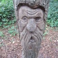 The Woodsman