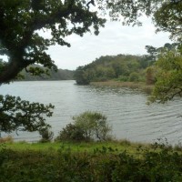 Porthleven-Helston: Loe Pool - 22nd October, 2011