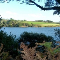 Loe Pool from the Penrose Walk - 22nd October, 2011