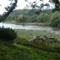 Penrose Walk beside Loe Pool - 22nd October, 2011