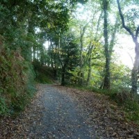 Penrose Walk beside Loe Pool - 22nd October, 2011