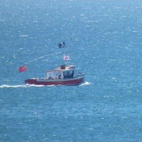 Pilot Gig Race