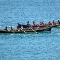 Pilot Gig Race - Falmouth