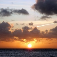 Lizard Sunrise