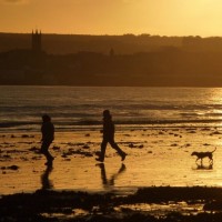 Snapshot (action) - Walkers' Paradise