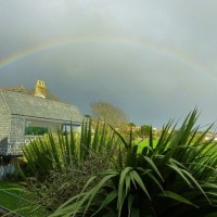 Art Gallery Rainbow