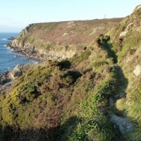 MIXED FARMING IN ST JUST AND COT VALLEY - 16JAN12