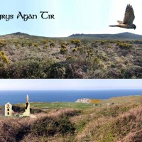 9. Spyrys Agan Tir (The Spirit of the Land)