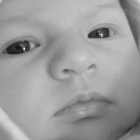 Innocence