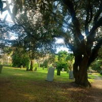 St. Mary's church and graveyard.