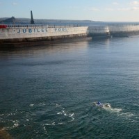 swimmers in mount's bay.