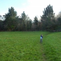 View from the first field 2012
