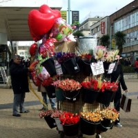 Plymouth - Hearts & Flowers