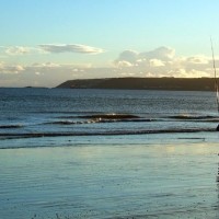 Lone Angler