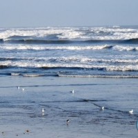 North Sea Waves