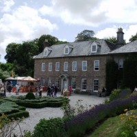 Trereife