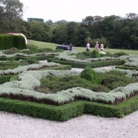 Trereife