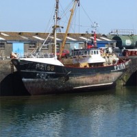 PZ195  William Stevenson