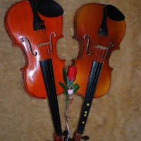 violin duet