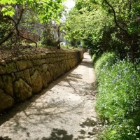 the coombe