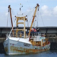 PZ293 Elizabeth Caroline