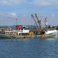 PZ293 Elizabeth Caroline