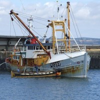 PZ293 Elizabeth Caroline