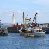 PZ293 Elizabeth Caroline