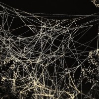 Learner Spider