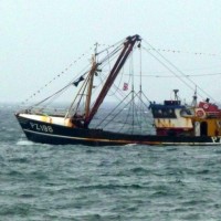 Queen's Diamond Jubilee Flotilla 5