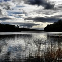 Loe Bar