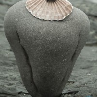 shell hat