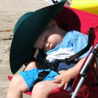 Beach Siesta