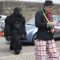 Gorilla in town