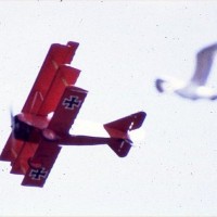 Replica Triplane