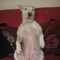just chilling